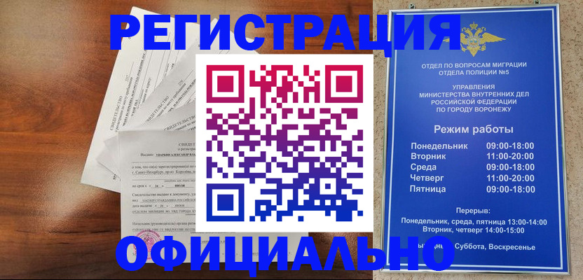 прописка поиск в Камешково